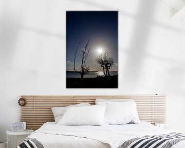 Silhouette of trees