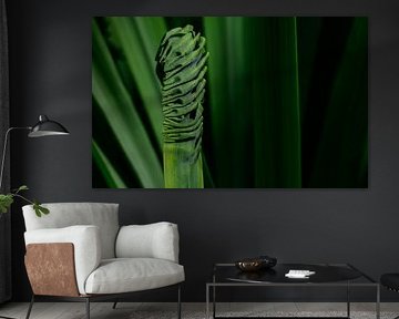 Frisse groene moderne natuur foto van riet in allerlei bochten gewrongen