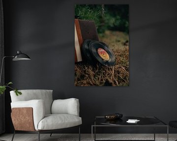 Vinyl Record