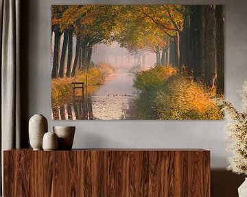 Herfst in Friesland van Henk Meijer Photography