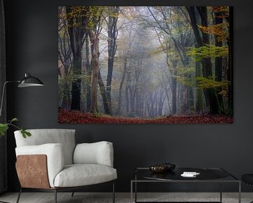 Speulder forest in autumn by Evert Jan Kip