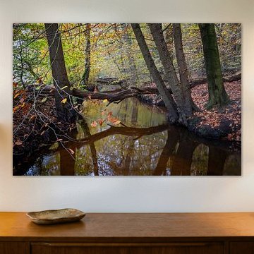 Herbstwald, Bach Leuvenum