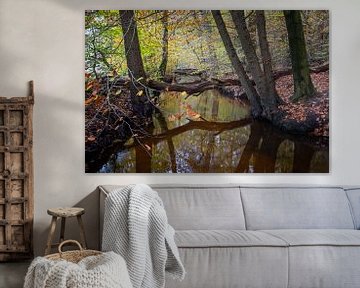 Herfstbos, Leuvenumse beek van Evert Jan Kip