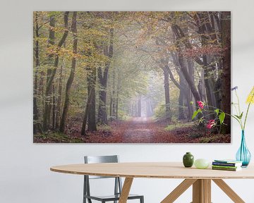 Speulder forest in autumn by Evert Jan Kip