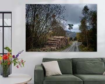 Rustiek Boslandschap Foto - Natuur Landschap in Herfstkleuren | Kunstwerk voor Woonkamer of Kantoor van Elianne van Turennout