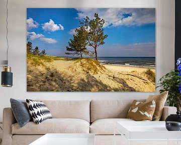 Seeblick_2