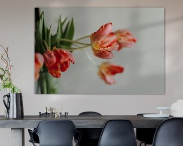 Red Tulips in Vase, Still life, Nature photography, The Netherlands, Print Art