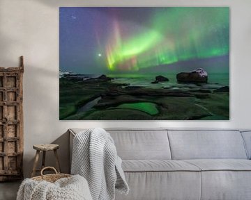 Northern Lights Dance Above Lofoten’s Coast by Olga Ilina