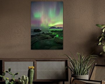 Northern Lights Dance Above Lofoten’s Coast by Olga Ilina