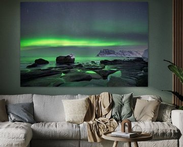 Northern Lights Dance Above Lofoten’s Coast by Olga Ilina