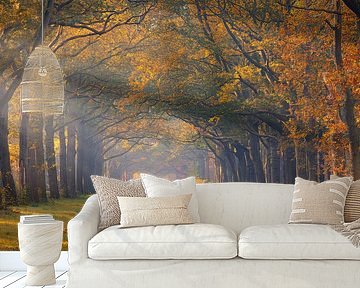 Autumn in Drenthe by Henk Meijer Photography