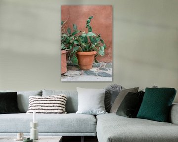 Cactus Griekenland van HelloHappylife