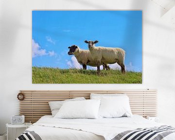 Schafe auf dem Deich  von Angela Dölling