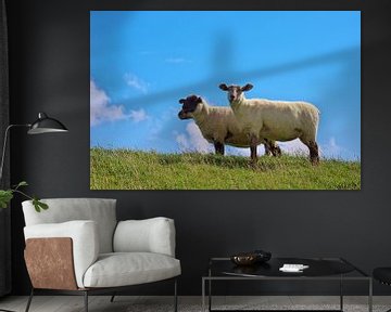 Schafe auf dem Deich  von AD DESIGN Photo & PhotoArt