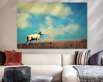 It's a sheep by AD DESIGN Photo & PhotoArt