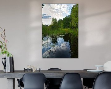 Meer in Zweden met witte wolken, blauw water en bomen aan de oever