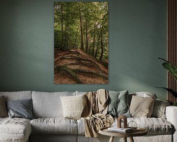 Les belles lignes de carottes dans la belle forêt. forêt sur Robby's fotografie