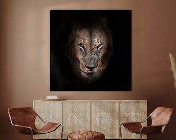 lion