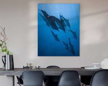 Sous la mer