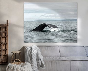 Sous la mer