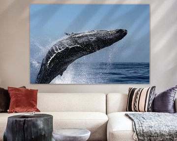 Sous la mer
