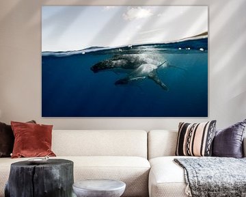Sous la mer