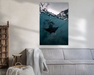 Sous la mer
