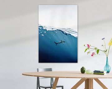Sous la mer