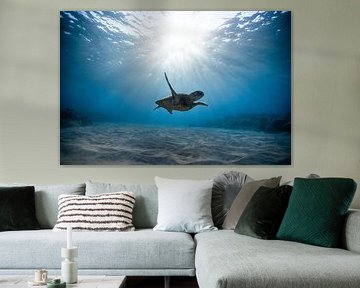 Sous la mer