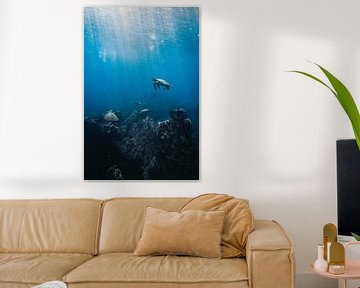 Sous la mer