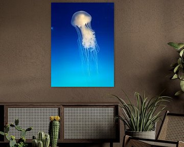 Sous la mer