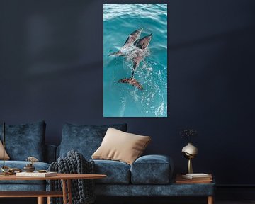 Under the Sea