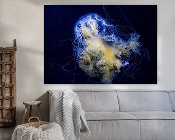 Sous la mer