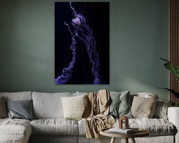 Sous la mer