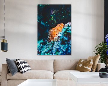Sous la mer