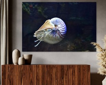 Sous la mer