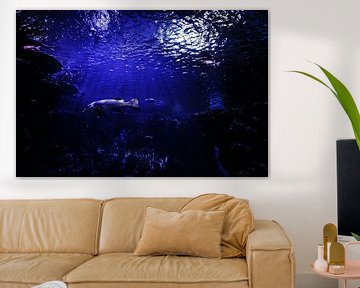 Sous la mer