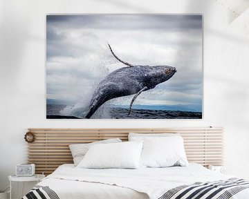 Sous la mer