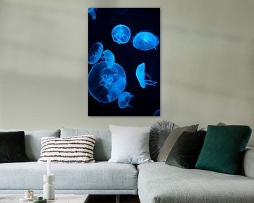 Under the Sea