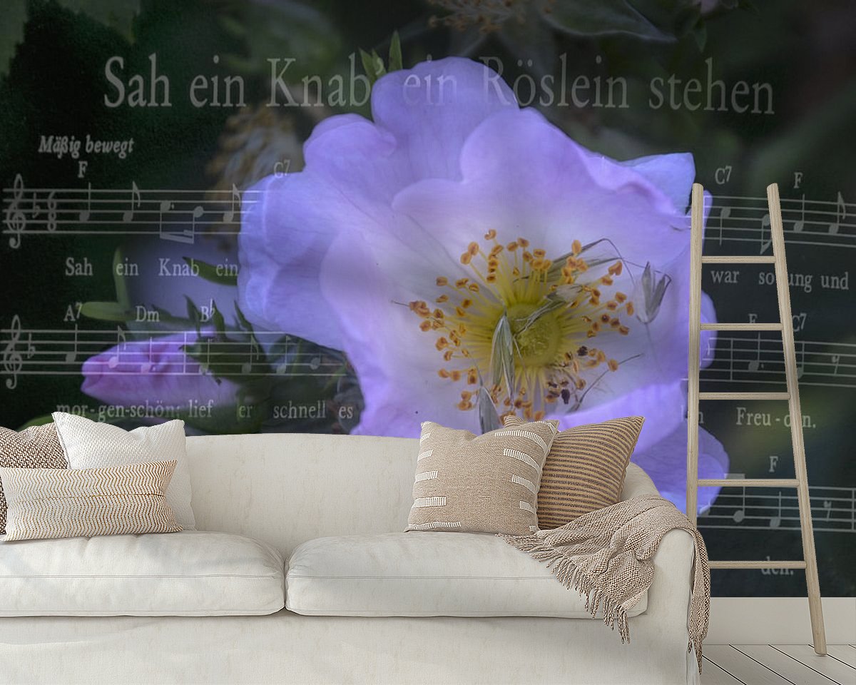 Raumvorschau