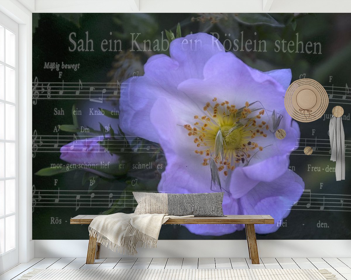 Raumvorschau