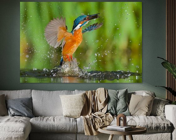 Aperçu de la chambre