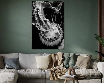 Changement de perspective sur Dominique Rörtgen Fotografie