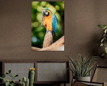 Zeg kaas! van Dominique Rörtgen Fotografie