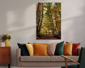 Pescocostanzo Bosco di Sant Antonio 7 by Martijn Jebbink Photography
