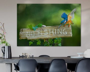 IJsvogel - No fishing!