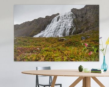 Dynjandi waterval met flora op de voorgrond van Bianca Fortuin