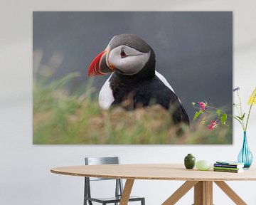 Portret van een papegaaiduiker op Látrabjarg in de Westfjorden op IJsland, van Bianca Fortuin