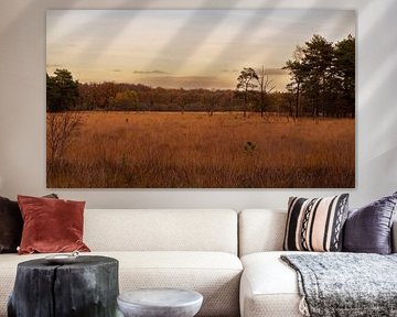 Blick auf eine herbstliche Landschaft in Drenthe, bei fast untergehender Sonne