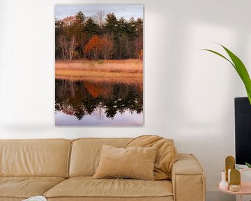 Spiegelung von Bäumen mit Herbstfarben im Wasser